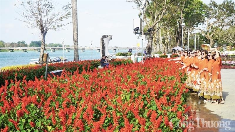 Tranh thủ thời tiết đẹp để lưu lại những bức ảnh của Tết Bính Ngọ