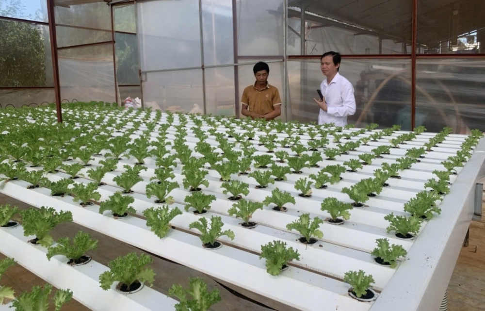 Lâm Đồng: Xây dựng kịch bản tăng trưởng theo chuyên ngành trên 4 lĩnh vực Lâm Đồng: Xây dựng kịch bản tăng trưởng theo chuyên ngành trên 4 lĩnh vực