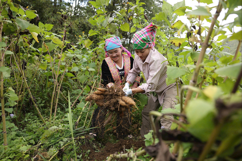 Thị trường trực tuyến mở ra triển vọng lớn cho sản vật vùng miền, tạo động lực để các địa phương nâng cao năng lực quản lý và chủ động nắm bắt cơ hội. Ảnh: T.T.