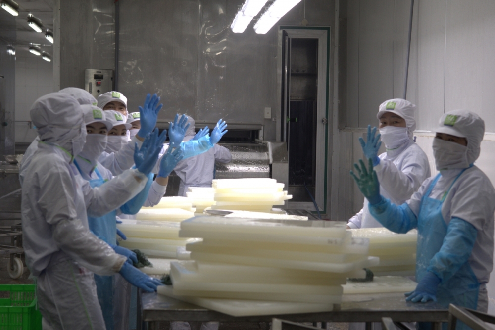 Doanh nghiệp vào guồng sản xuất sớm Doanh nghiệp vào guồng sản xuất sớm