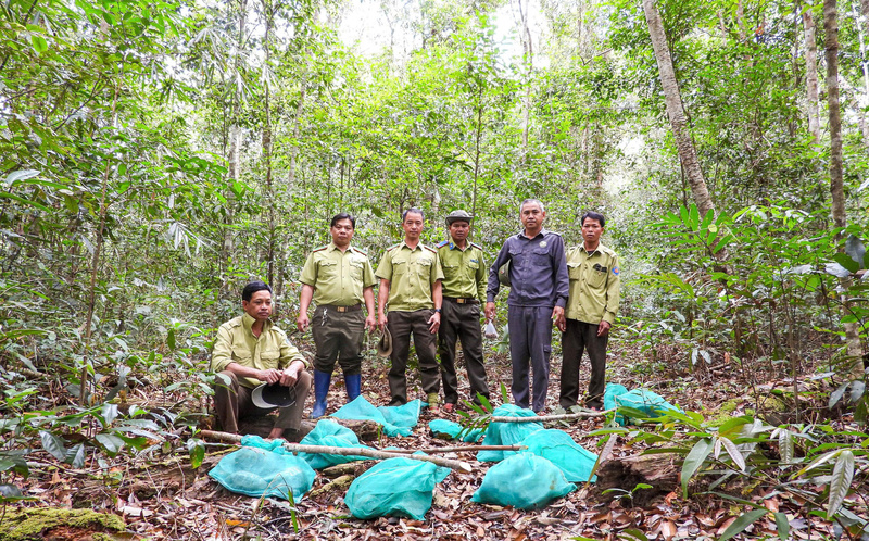 Việc thả động vật rừng về tự nhiên góp phần phục hồi quần thể động vật hoang dã, bảo tồn đa dạng sinh học tại khu vực rừng đặc dụng Kon Ka Kinh.