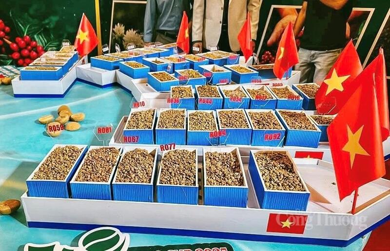 Cà phê Robusta chất lượng cao (Fine Robusta) của Gia Lai đang dần ghi dấu ấn nhờ hương vị riêng biệt và chất lượng ổn định.