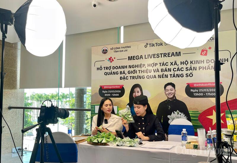 Mega Livestream hỗ trợ doanh nghiệp, hợp tác xã, hộ kinh doanh quảng bá, giới thiệu và bán các sản phẩm đặc trưng qua nền tảng số.