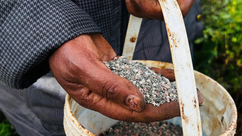 Chiến sự Trung Đông đang tác động tới thị trường năng lượng và phân bón.