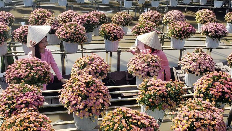 Việc đưa xuồng ba lá vào phục vụ tham quan giúp du khách có góc nhìn mới lạ và trải nghiệm gần gũi hơn với đời sống của người dân làng hoa. Ảnh: Minh Anh