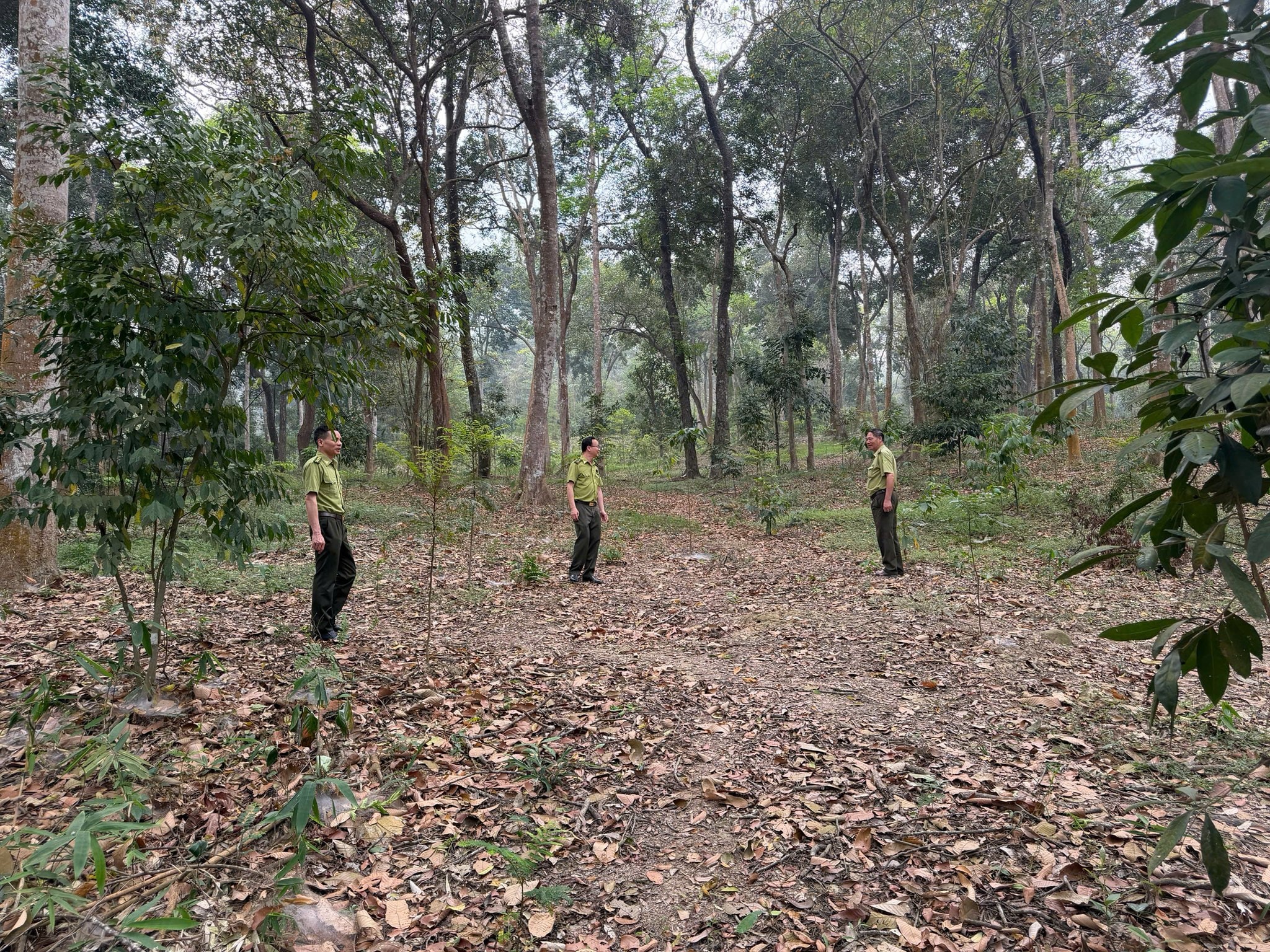 Hạt kiểm lâm KV I