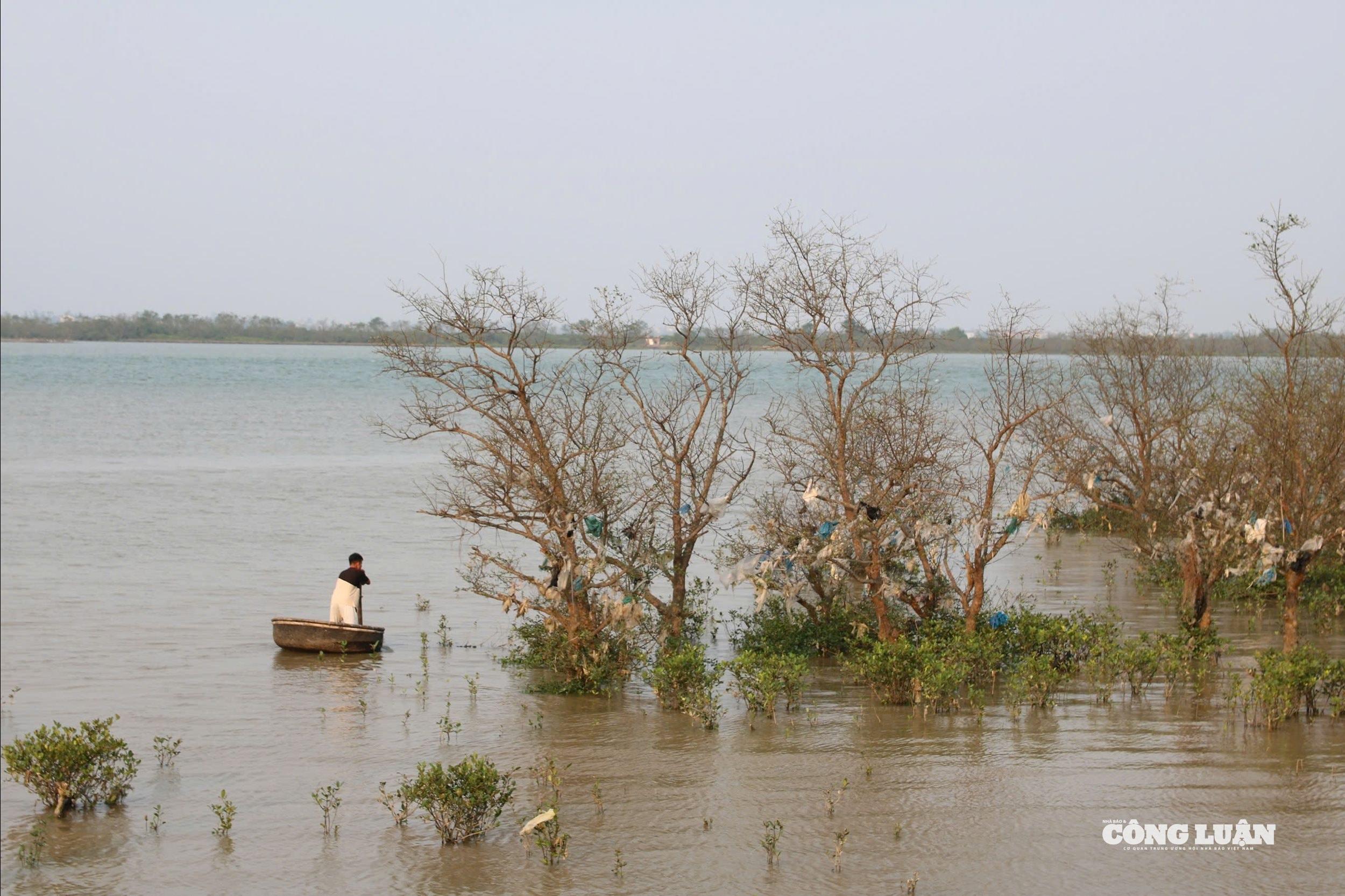 Rác thải rắn còn đe dọa đến sự đa dạng sinh học và nguồn lợi thủy sản trong khu vực