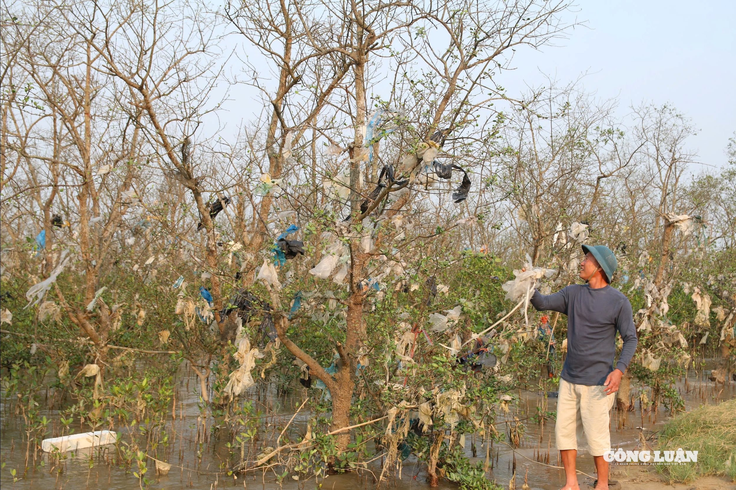 Khu rừng bần ven sông Lam đang bị “ngộp thở” bởi rác thải sau mỗi đợt mưa lũ.
