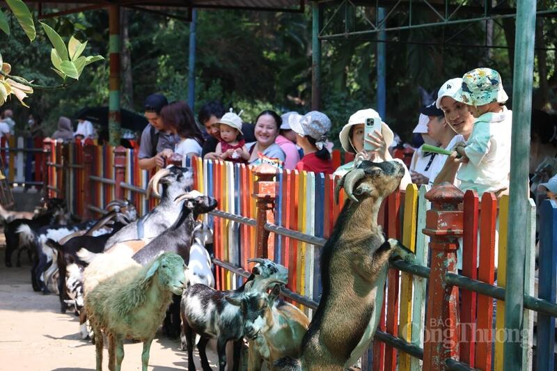 Thảo Cầm Viên Sài Gòn cũng ghi nhận lượng khách tăng đột biến, đặc biệt là nhóm gia đình có trẻ nhỏ.