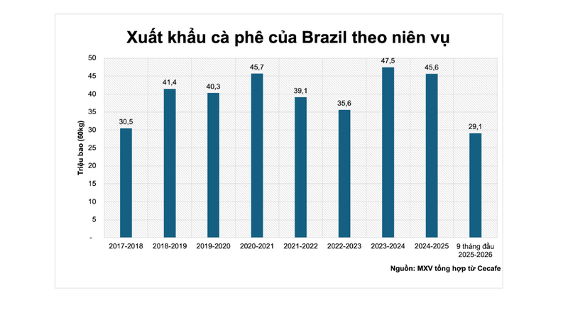 Xuất khẩu cà phê của Brazil theo niên vụ. Nguồn: MXV