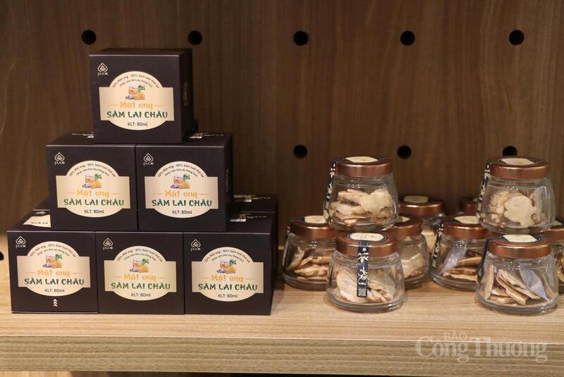 Sản phẩm sâm Lai Châu