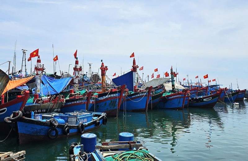 Toàn tỉnh Quảng Ngãi hiện có 4.960 tàu cá; trong đó 100% tàu cá đã đăng ký và được cập nhật lên hệ thống VNFishbase. Ảnh: Nguyễn Dương