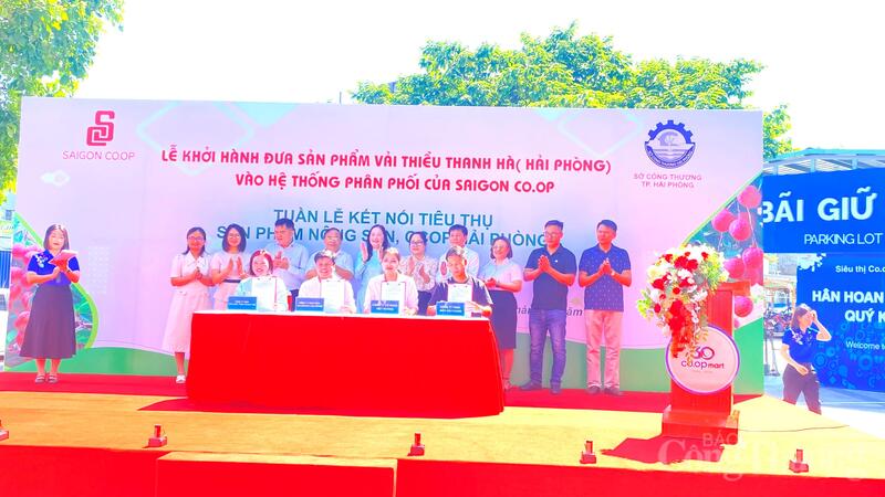 Các đơn vị ký kết tiêu thụ Vải thiều Thanh Hà tại sự kiện.
