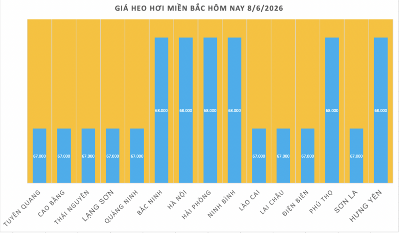 Giá heo hơi hôm nay 8/6/2026: Duy trì ổn định - 1