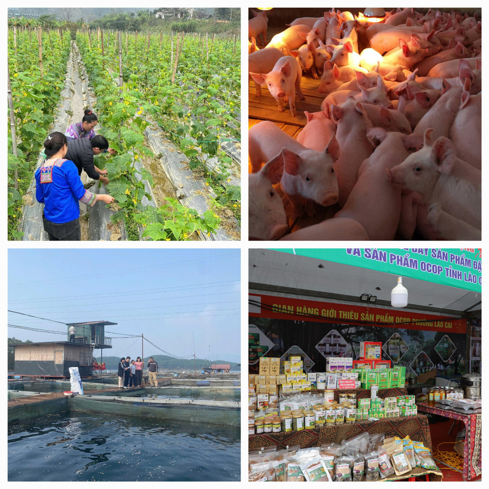 Lào Cai duy trì đà tăng trưởng tích cực trên các lĩnh vực kinh tế - xã hội. Ảnh: CTTĐT Lào Cai. 1000045091.jpg