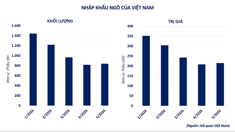 Nhập khẩu ngô của Việt Nam. Nguồn: MXV