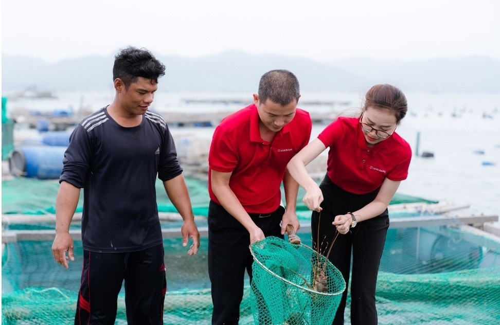 Không chỉ dừng lại ở việc cấp vốn, các cán bộ tín dụng Agribank còn thường xuyên phối hợp cùng Tổ trưởng Tổ vay vốn tích cực tư vấn, định hướng cho bà con áp dụng khoa học kỹ thuật vào sản xuất, phù hợp với xu hướng của thị trường 1000049132.jpg