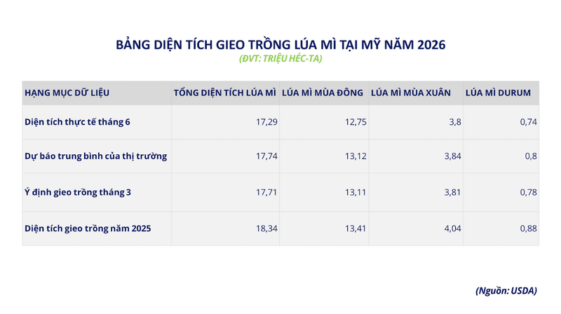 Bảng diện tích gieo trồng lúa mì tại Mỹ năm 2026. Nguồn: MXV