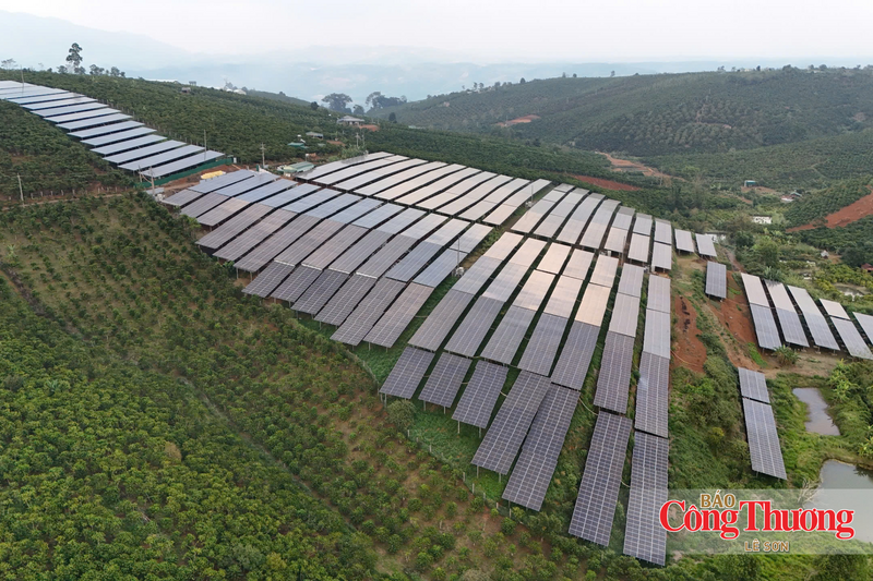 Các tấm pin năng lượng mặt trời.