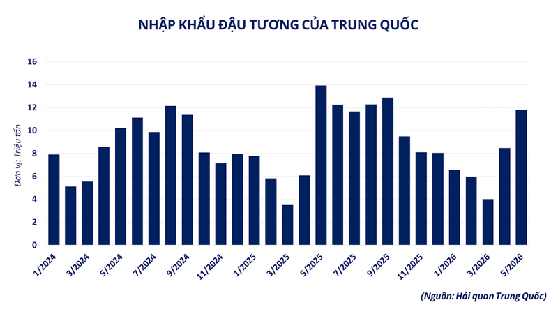 Nhập khẩu đậu tương của Trung Quốc. Nguồn: MXV