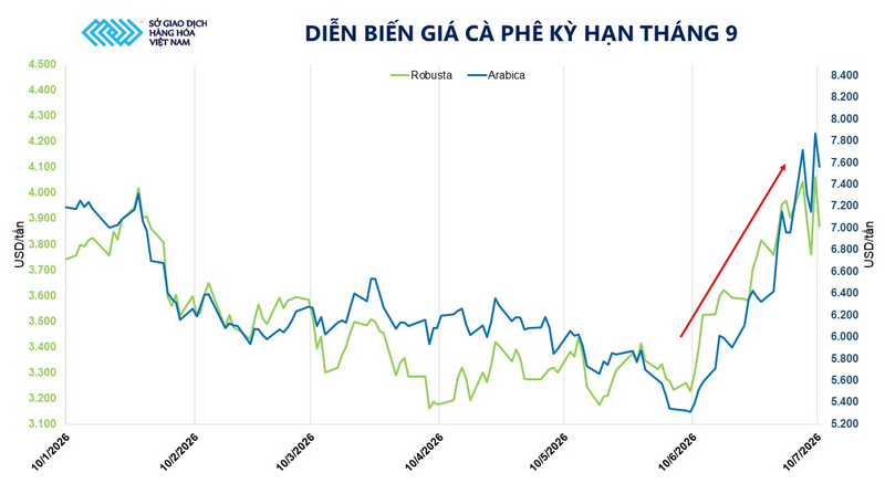 Diễn biến giá cà phê kỳ hạn tháng 9. Nguồn: MXV