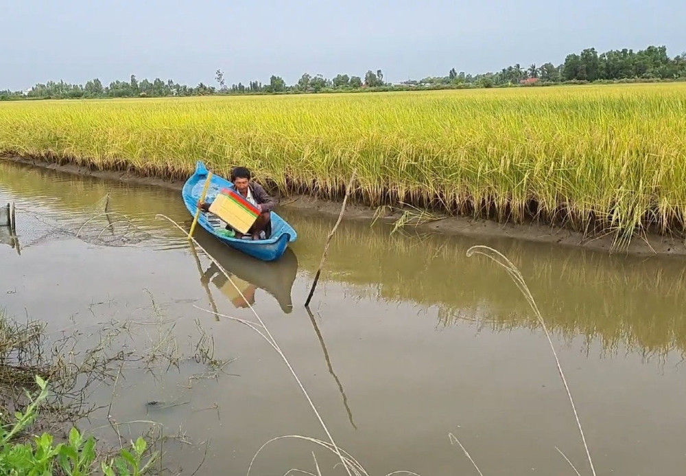 Mô hình sản xuất tôm - lúa theo hướng an toàn sinh học, thích ứng biến đổi khí hậu góp phần nâng cao thu nhập cho người dân. img-20221205-084227.jpg