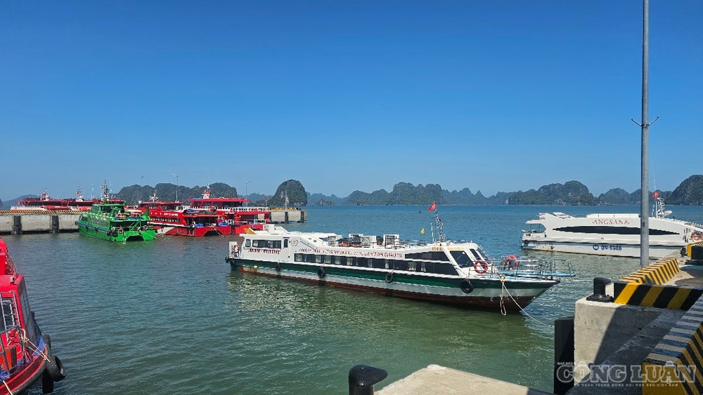 Một góc đặc khu kinh tế Vân Đồn, Quảng Ninh. Ảnh: Việt Vũ clo_br_20260526-134511.jpg