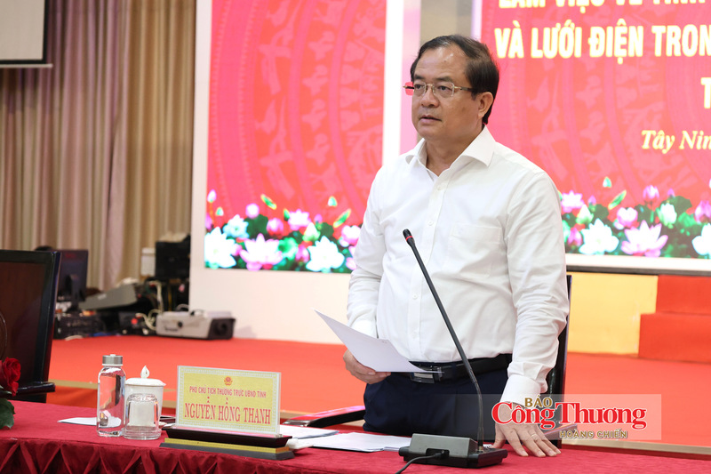Phó Chủ tịch Thường trực UBND tỉnh Tây Ninh Nguyễn Hồng Thanh phát biểu tại buổi làm việc.