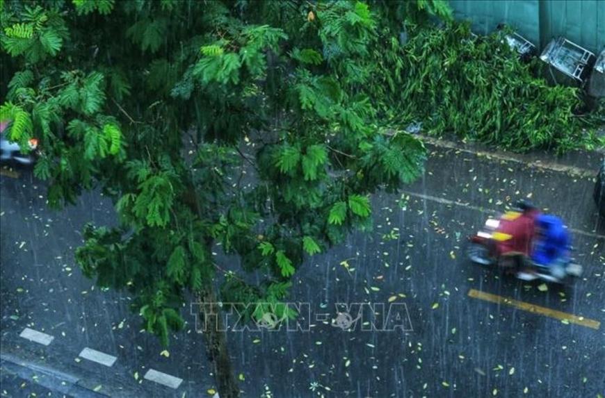 Thời tiết hôm nay (4-8): Bắc Bộ nhiều nơi có mưa to