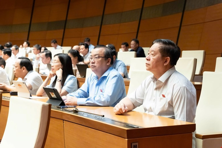 Các Đại biểu Quốc hội dự phiên thảo luận ngày 10/8. Ảnh: QH. 54-1172.jpg