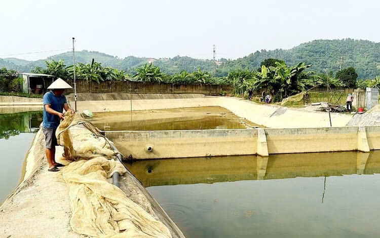 Thủy sản Việt Nam chuyển từ cạnh tranh sản lượng sang nâng giá trị và phát triển bền vững