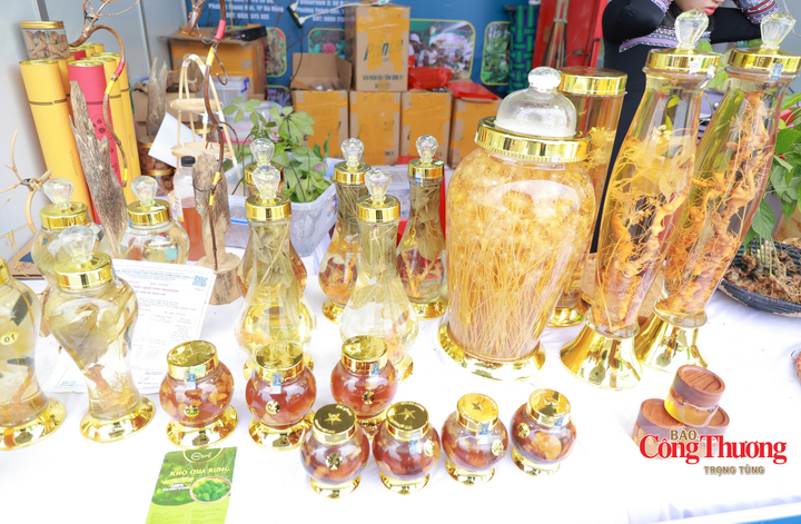 Tham gia hội chợ lần này, đơn vị mang đến dải sản phẩm đa dạng, từ củ sâm tươi, lá sâm đến các dòng chế biến sâu như: sâm Ngọc Linh thái lát ngâm mật ong rừng, sâm ngâm nhung hươu và rượu sâm. Toàn bộ nguồn nguyên liệu đều được khai thác và tuyển chọn kỹ lưỡng từ vùng trồng tại thôn Măng Lùng, xã Trà Linh, TP. Đà Nẵng.