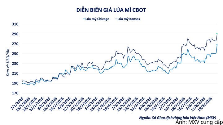 Diễn biến giá lúa mì CBOT