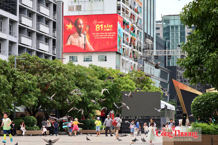 Những đàn chim bồ câu - biểu tượng của hoà bình sải cánh trong không gian của phố đi bộ Nguyễn Huệ ngày 2/9.