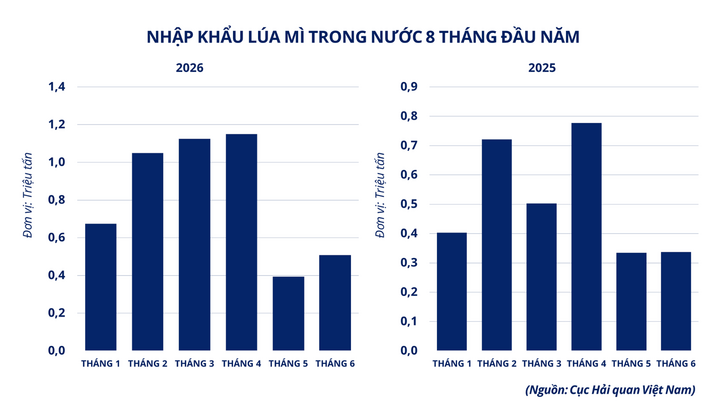 Nhập khẩu lúa mì Việt Nam 8 tháng đầu năm.
