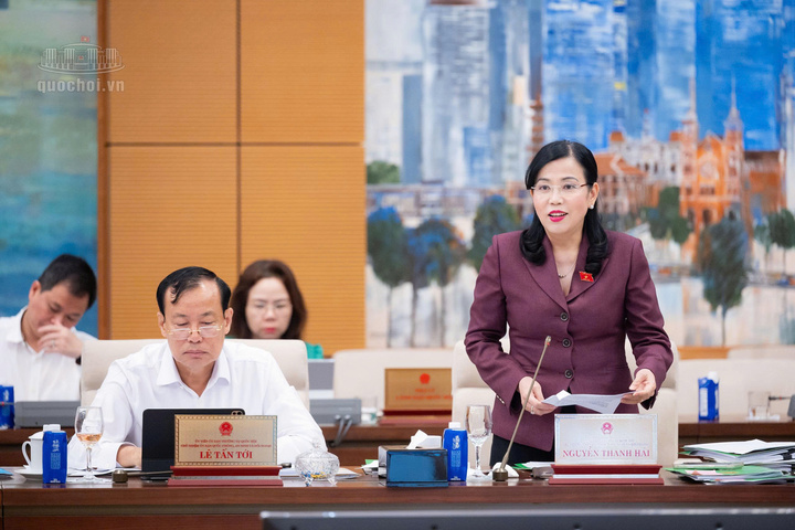Chủ nhiệm Ủy ban Khoa học, Công nghệ và Môi trường Nguyễn Thanh Hải phát biểu tại phiên họp. Ảnh: Vũ Hiếu