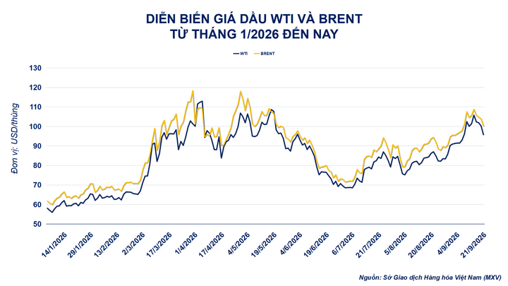 Diễn biến giá dầu thô.