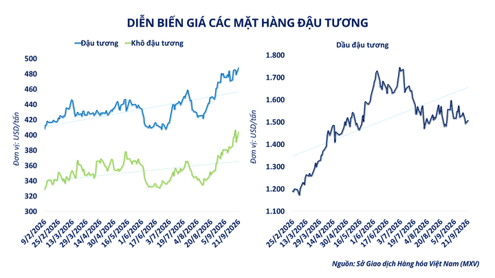 Diễn biến giá nhóm họ đậu.
