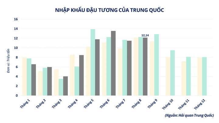 Nhập khẩu đậu tương của Trung Quốc.