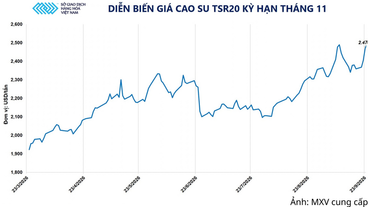 Diễn biến giá cao su TSR20.