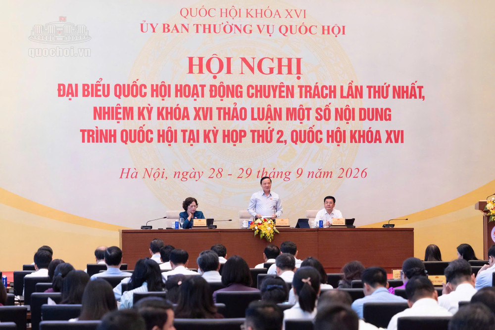 91.jpg
