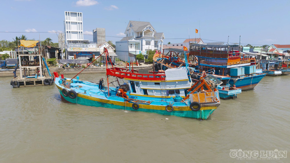 clo_br_thuy-dan.jpg