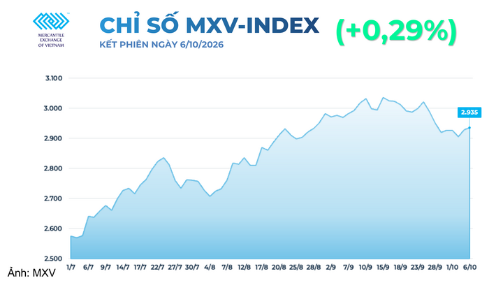 Chỉ số MXV-index