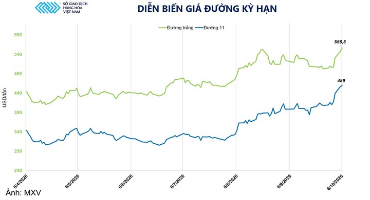Diễn biến giá đường kỳ hạn