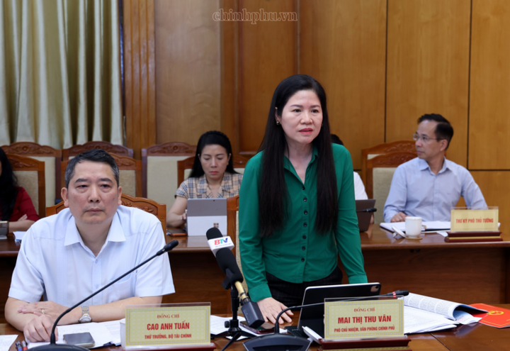 Các đại biểu phát biểu ý kiến - Ảnh: chinhphu.vn/Đức Tuân