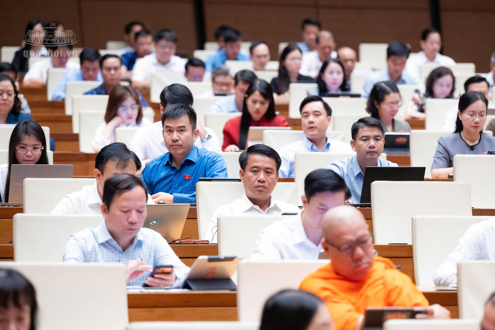 Các đại biểu tham dự phiên họp - Ảnh QH 51.jpg