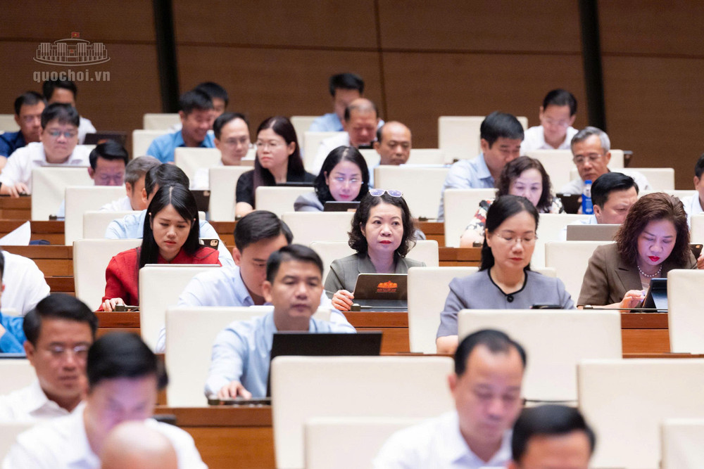 Các đại biểu tham dự phiên họp - Ảnh: QH 52.jpg