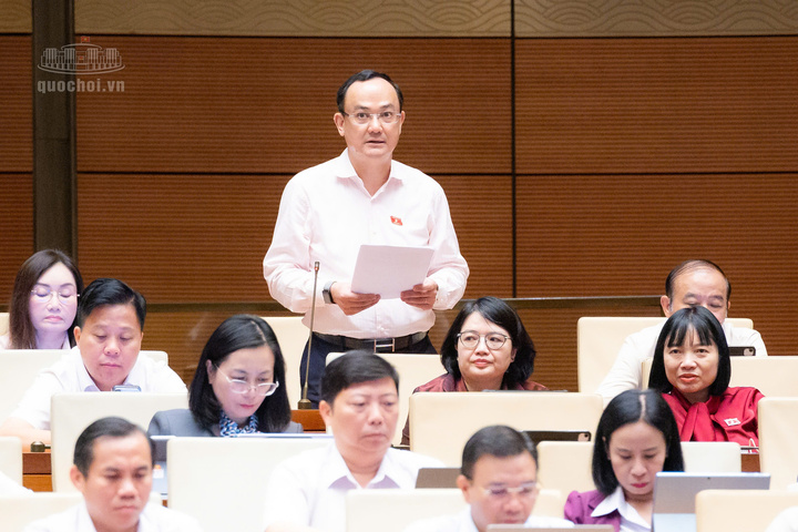 Đại biểu Nguyễn Ngọc Sơn (đoàn thành phố Hải Phòng).